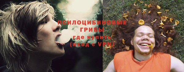 твердый Россошь